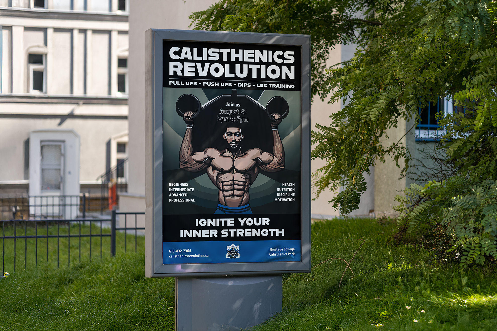 Preview of Calisthenics Poster project