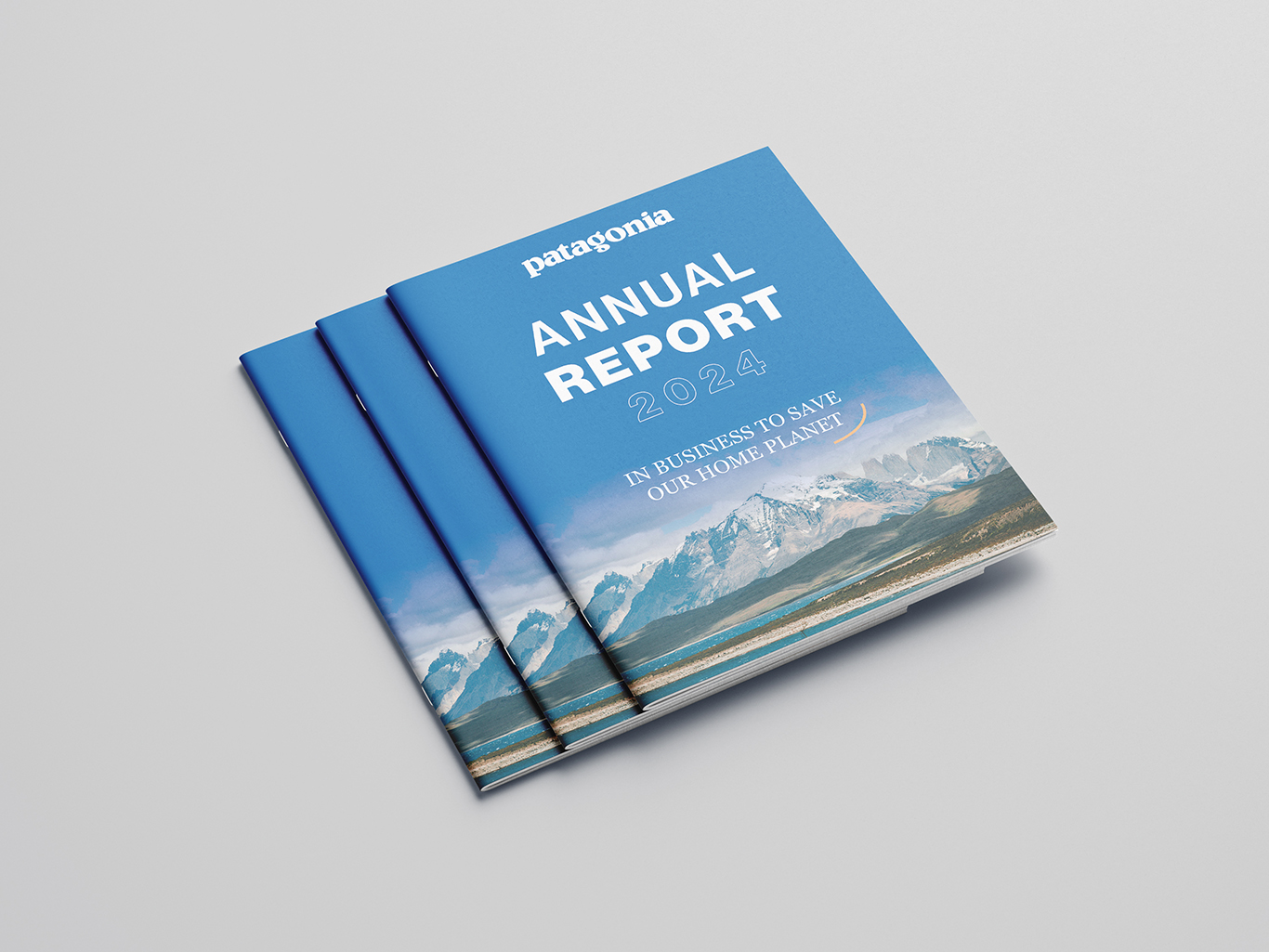 Patagonia Annual Report cover mockup