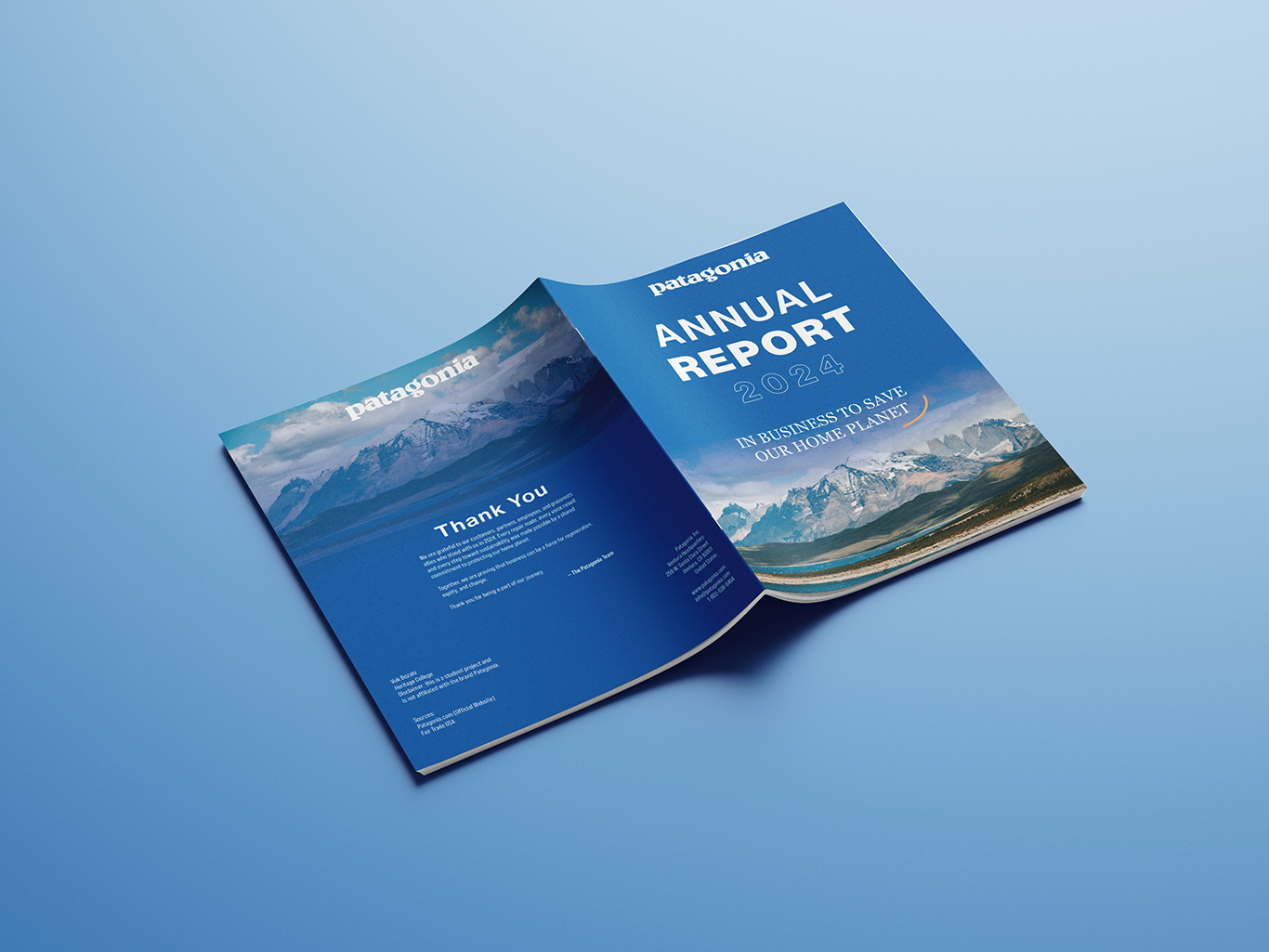 Preview of Patagonia Annual Report project