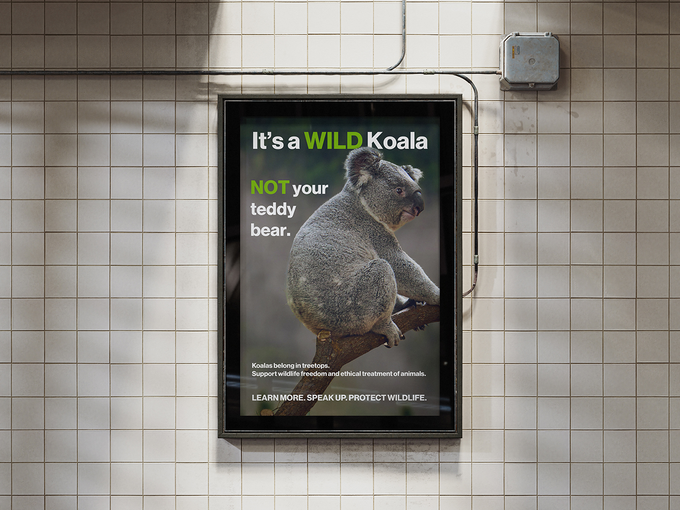 Wildlife PSA poster mockup